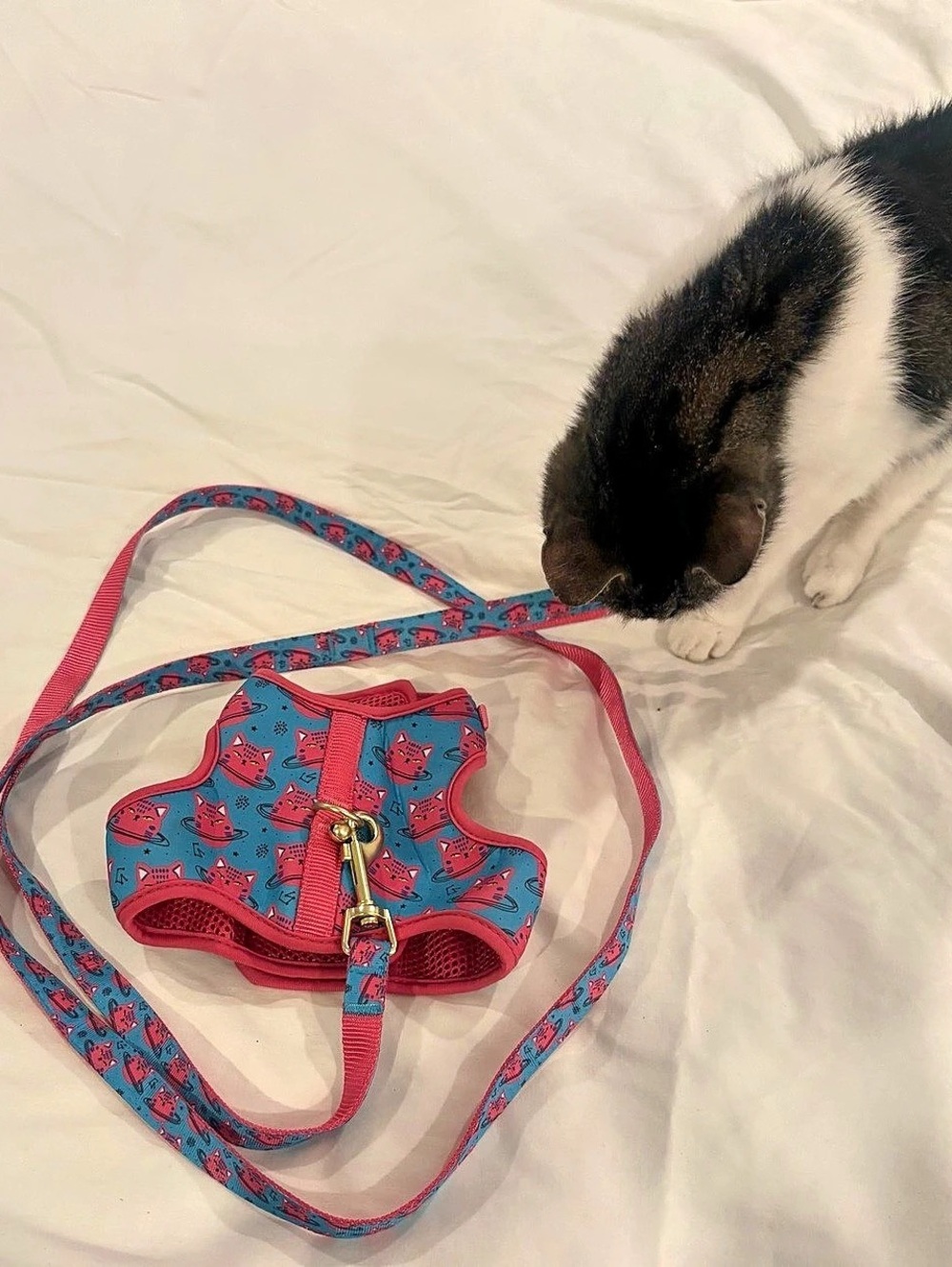 Whisker City Cat Centric Cat Harness and Leash Combo Set Cat Print Harness &